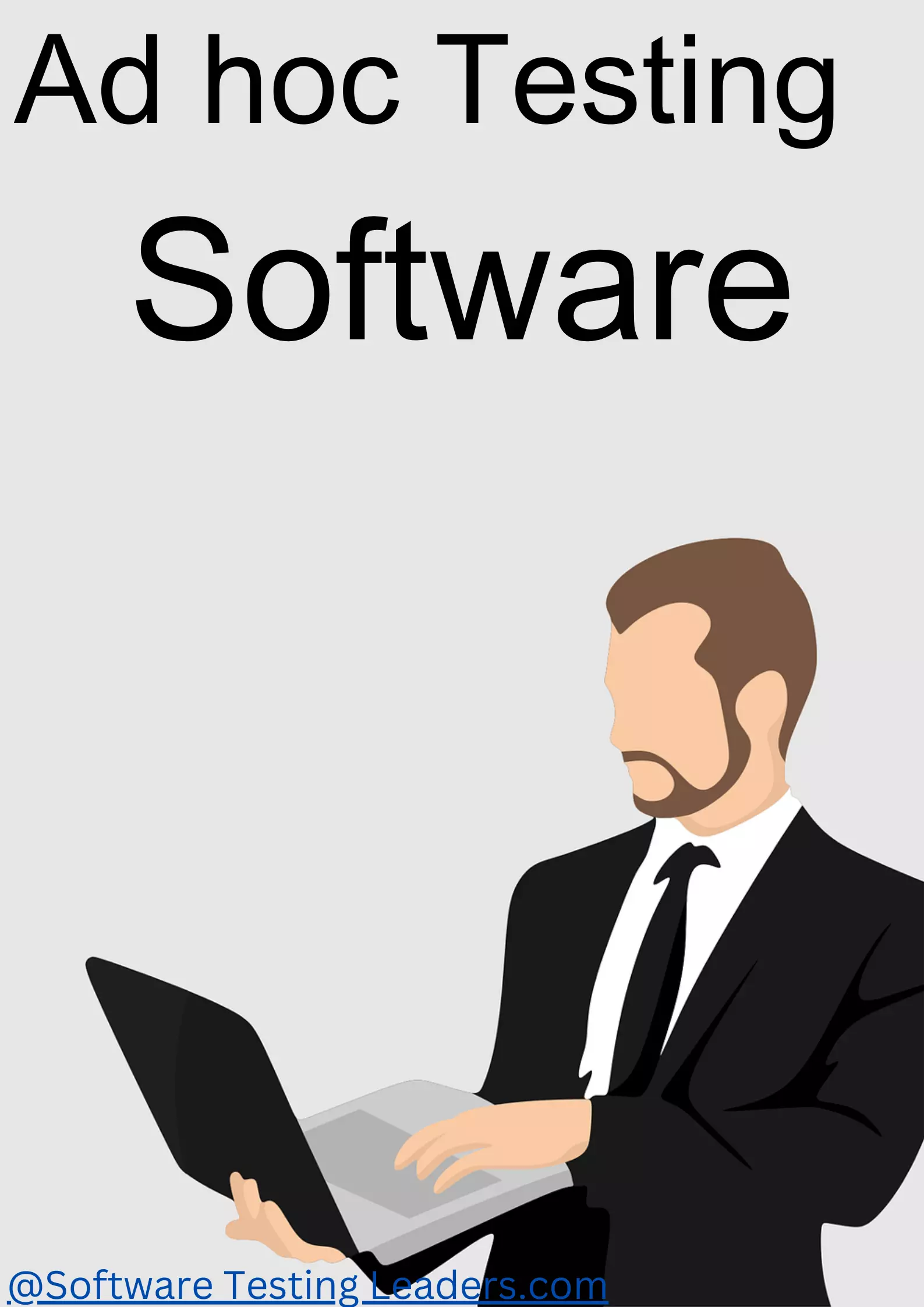 Adhoc testing in software